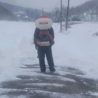 노고산농부님의 자유주제 · 자유게시판 작성글 사진