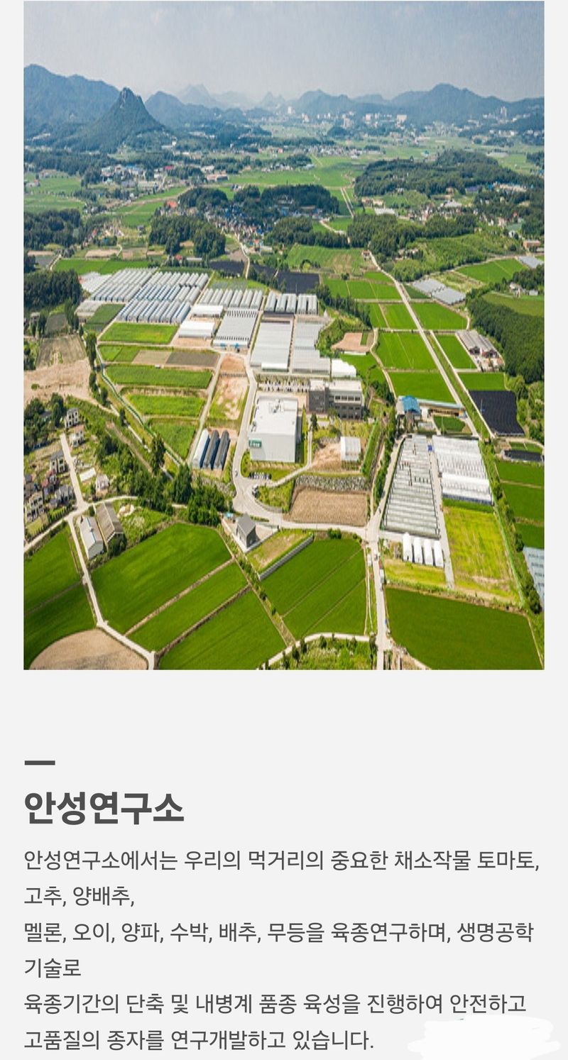 대산농사대장님의 장터 판매 상품 [더기반 신품종 복합왕대박 극대과종 ] 첨부 사진