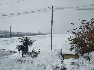 태일농산이정수님의 자유주제 · 자유게시판 작성글 사진