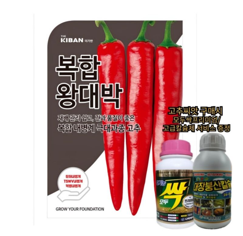 대산농사대장님의 장터 판매 상품 [더기반 신품종 복합왕대박 극대과종 ] 첨부 사진