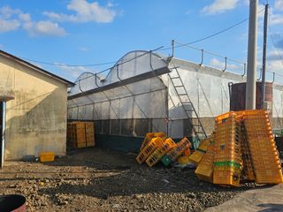 강중영님의 작성글 사진