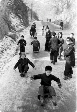 속리산정이품농원님의 자유주제 · 자유게시판 작성글 사진