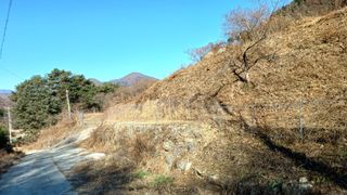 이순기님의 2025년, 농사계획은 어떻게 되시나요? · 참여글 작성글 사진