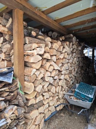 강원사랑인님의 자유주제 · 자유게시판 작성글 사진