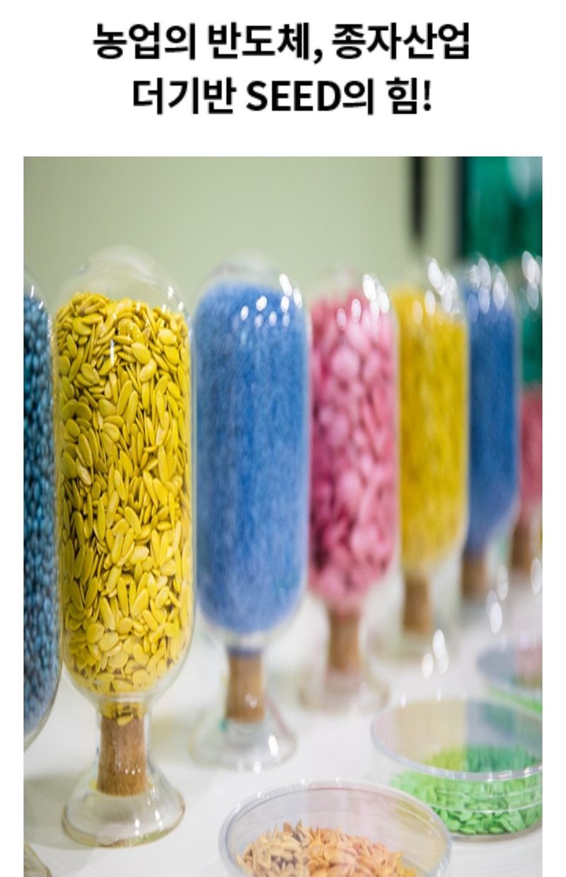 대산농사대장님의 장터 판매 상품 [더기반 신품종 복합왕대박 극대과종 ] 첨부 사진