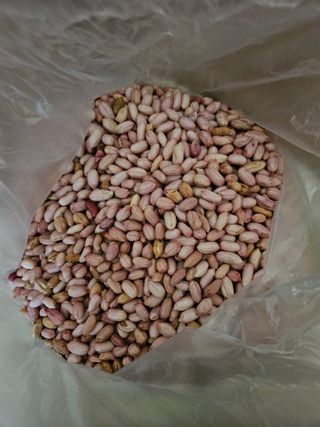 모니카님의 2025년, 농사계획은 어떻게 되시나요? · 참여글 작성글 사진