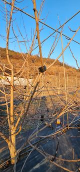 팜모닝 2025년, 농사계획은 어떻게 되시나요?·참여글 게시글 이미지