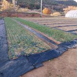 팜모닝 자유주제·자유게시판 게시글 이미지