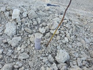 노력하는농민천영구님의 2025년, 농사계획은 어떻게 되시나요? · 참여글 작성글 사진