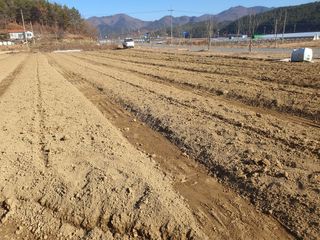 노력하는농민천영구님의 2025년, 농사계획은 어떻게 되시나요? · 참여글 작성글 사진