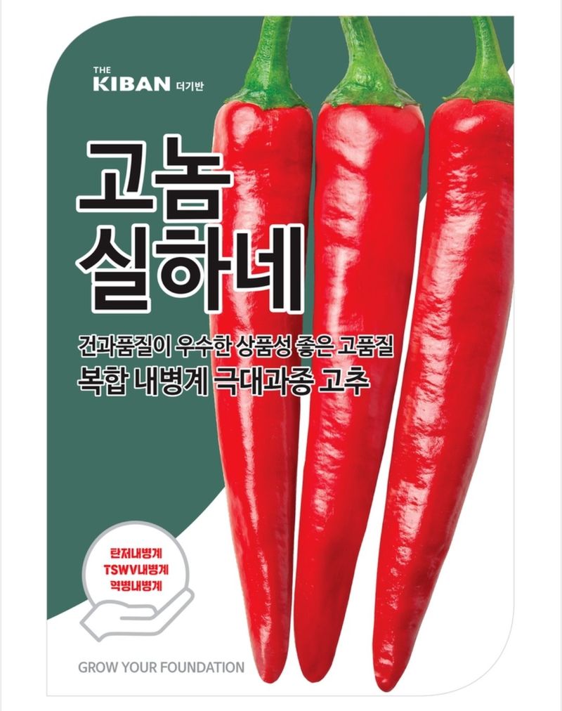 대산농사대장님의 장터 판매 상품 [고놈참실하네 고추씨앗 복합내병계 1200립] 첨부 사진