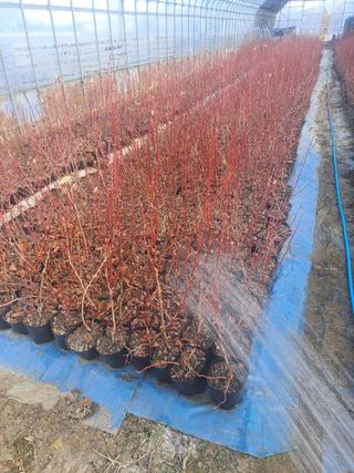 이재국님의 자유주제 · 자유게시판 작성글 사진