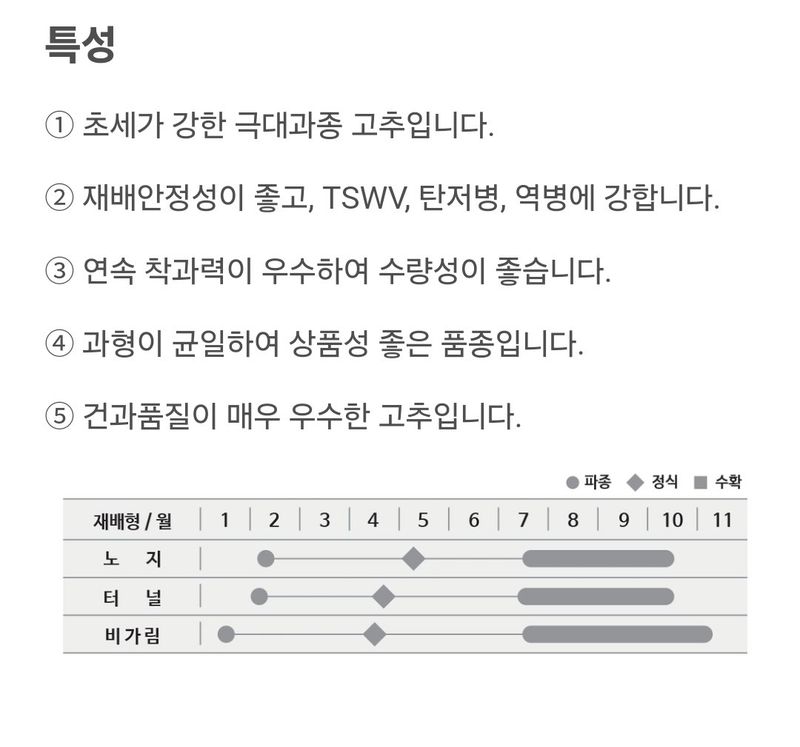 대산농사대장님의 장터 판매 상품 [더기반 신품종 복합왕대박 극대과종 ] 첨부 사진