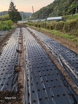 팜모닝 2025년, 농사계획은 어떻게 되시나요?·참여글 게시글 이미지