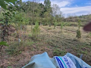 왕대추님의 농업 경영체 등록 기준, 강화 vs 완화 · 참여글 작성글 사진