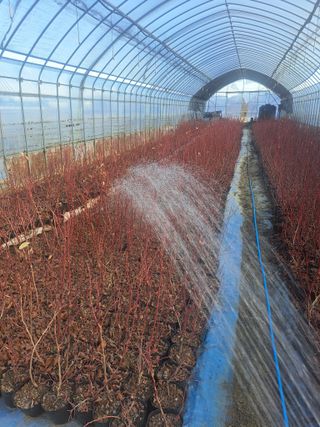 이재국님의 자유주제 · 자유게시판 작성글 사진