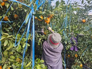 강중영님의 작성글 사진