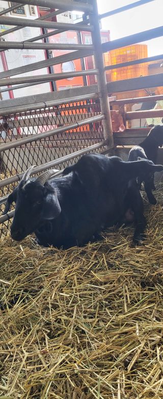 이오성님의 작성글 사진