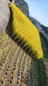 이복동님의 2025년, 농사계획은 어떻게 되시나요?·참여글 작성글 사진