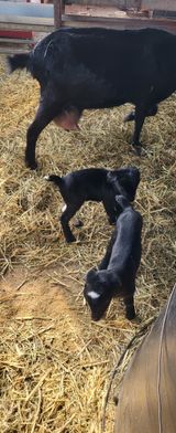 팜모닝 · 게시글 이미지