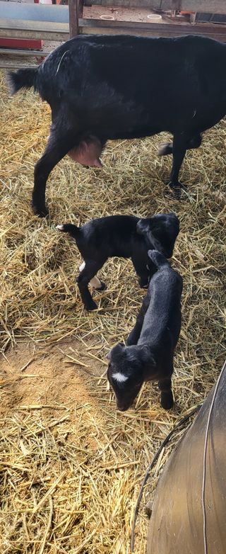 이오성님의 작성글 사진