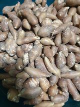 팜모닝 자유주제·자유게시판 게시글 이미지