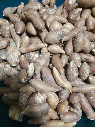 평강님의 자유주제 · 자유게시판 작성글 사진