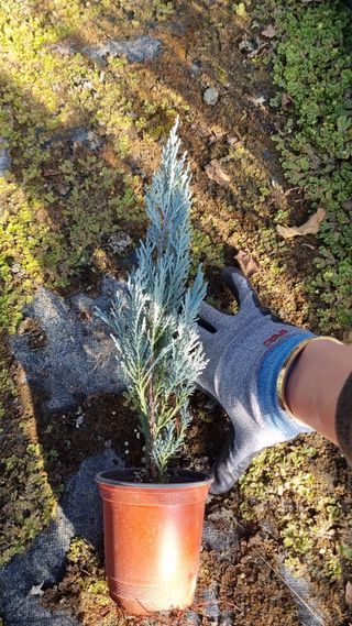 행복한나무농장님의 작성글 사진