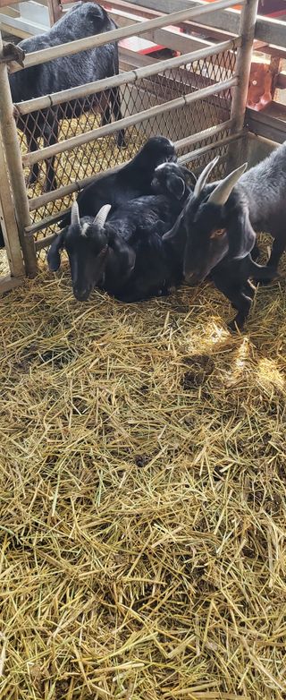 이오성님의 작성글 사진