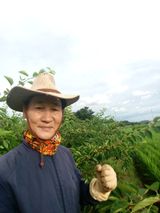팜모닝 팜모닝 신년운세 공유해요☀️·참여글 게시글 이미지