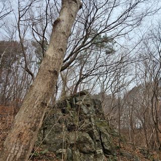 정완희 님의 자유주제 · 자유게시판 작성글 사진