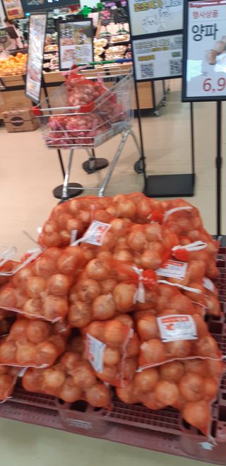 김정구 님의 2025년, 농사계획은 어떻게 되시나요? · 참여글 작성글 사진