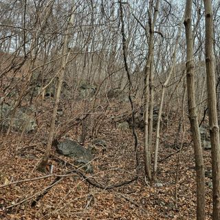 정완희 님의 자유주제 · 자유게시판 작성글 사진