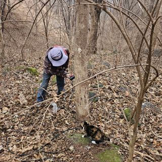 정완희 님의 자유주제 · 자유게시판 작성글 사진