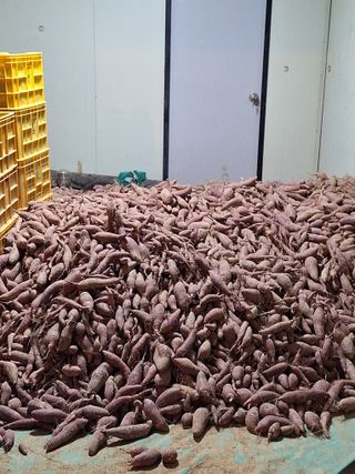 이청우님의 팜모닝 신년운세 공유해요☀️ · 참여글 작성글 사진