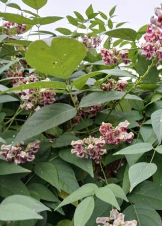 평강님의 자유주제 · 자유게시판 작성글 사진