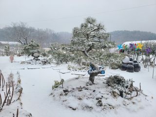 아리랑님의 자유주제 · 자유게시판 작성글 사진