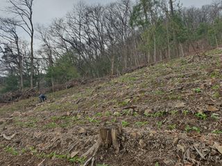 김왕래님의 2025년, 농사계획은 어떻게 되시나요? · 참여글 작성글 사진
