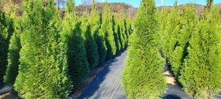 국산님의 2025년, 농사계획은 어떻게 되시나요? · 참여글 작성글 사진