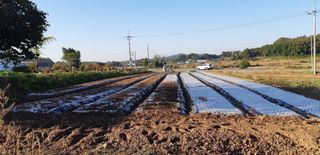 김정구 님의 2025년, 농사계획은 어떻게 되시나요? · 참여글 작성글 사진