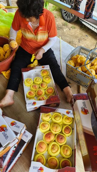 사과6329님의 2025년, 농사계획은 어떻게 되시나요? · 참여글 작성글 사진