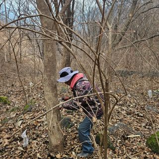 정완희 님의 자유주제 · 자유게시판 작성글 사진