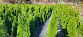 국산님의 2025년, 농사계획은 어떻게 되시나요? · 참여글 작성글 사진