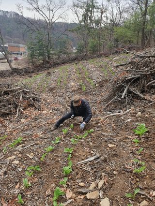 김왕래님의 2025년, 농사계획은 어떻게 되시나요? · 참여글 작성글 사진