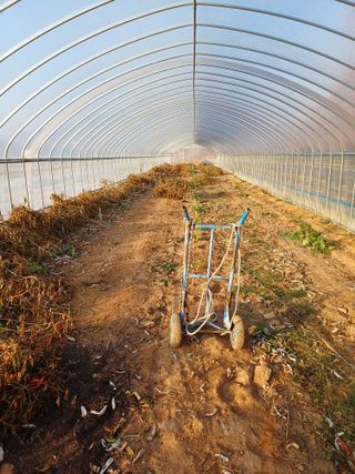 해아래님의 자유주제 · 자유게시판 작성글 사진