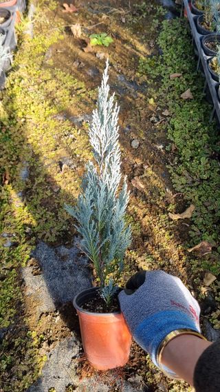 행복한나무농장님의 작성글 사진