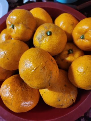 백화산지킴이산야초님의 자유주제 · 자유게시판 작성글 사진