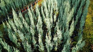 행복한나무농장님의 작성글 사진