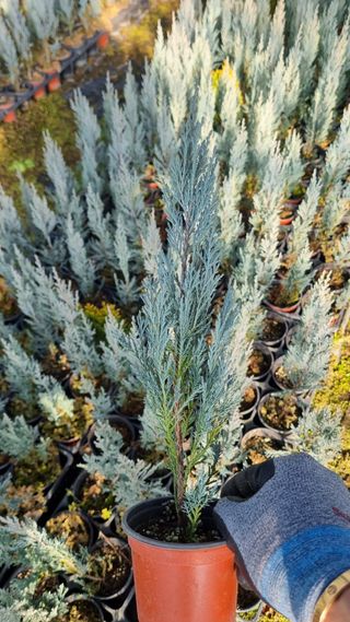 행복한나무농장님의 작성글 사진