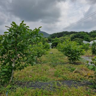 정봉래님의 팜모닝 신년운세 공유해요☀️ · 참여글 작성글 사진